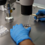 体外受精は全弾撃ち尽くし！３回目の採卵に進むことを決めました