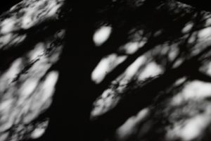 子宮外妊娠の可能性と化学流産