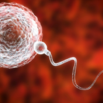 出産後だって不妊治療という枠組みの中にいるんだ|残った受精卵をどうする?