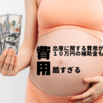 出産育児一時金の増額は来年度→4月から?なのに費用増額した病院が続出 10万円分の支援も財源未定で増税で補う?
