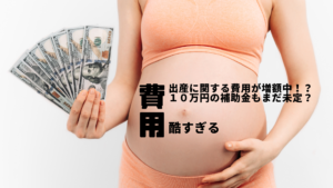 出産育児一時金の増額は来年度→4月から?なのに費用増額した病院が続出 10万円分の支援も財源未定で増税で補う?